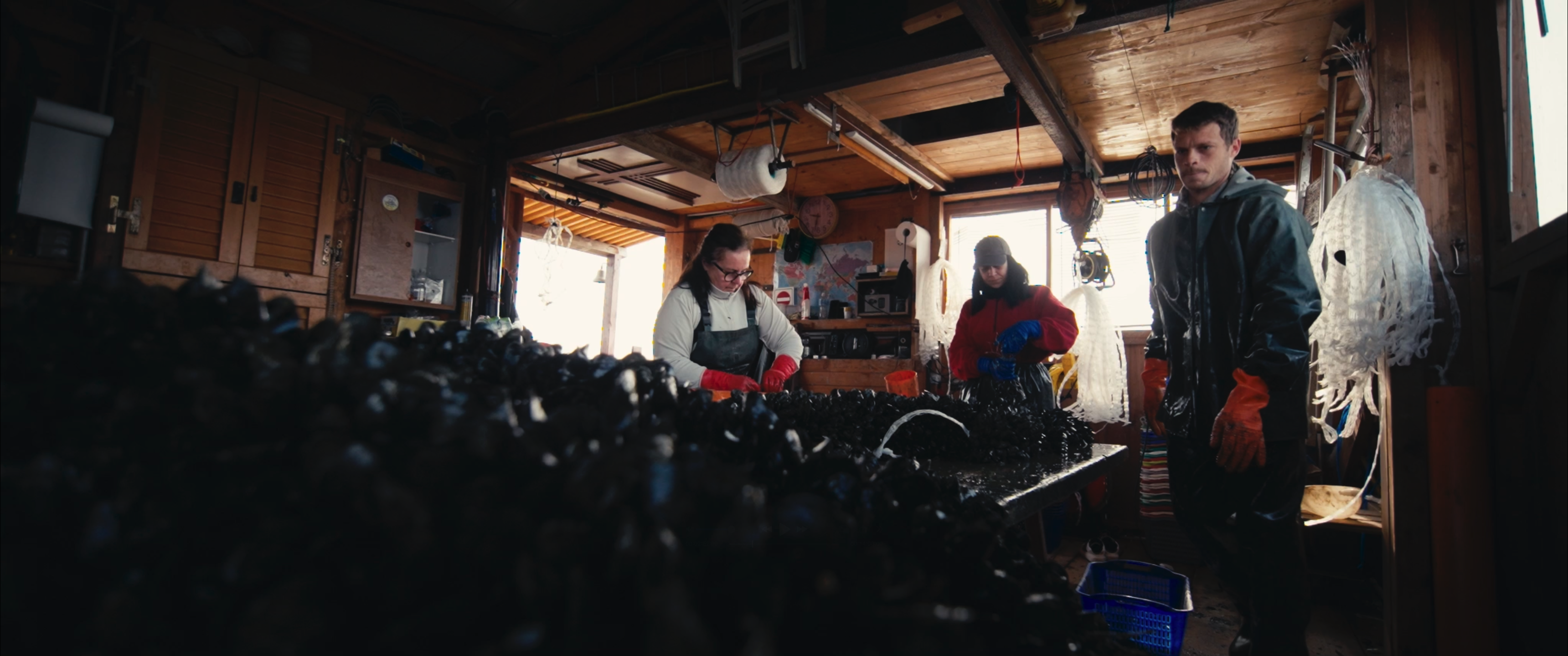 SCARDOVARI still 3